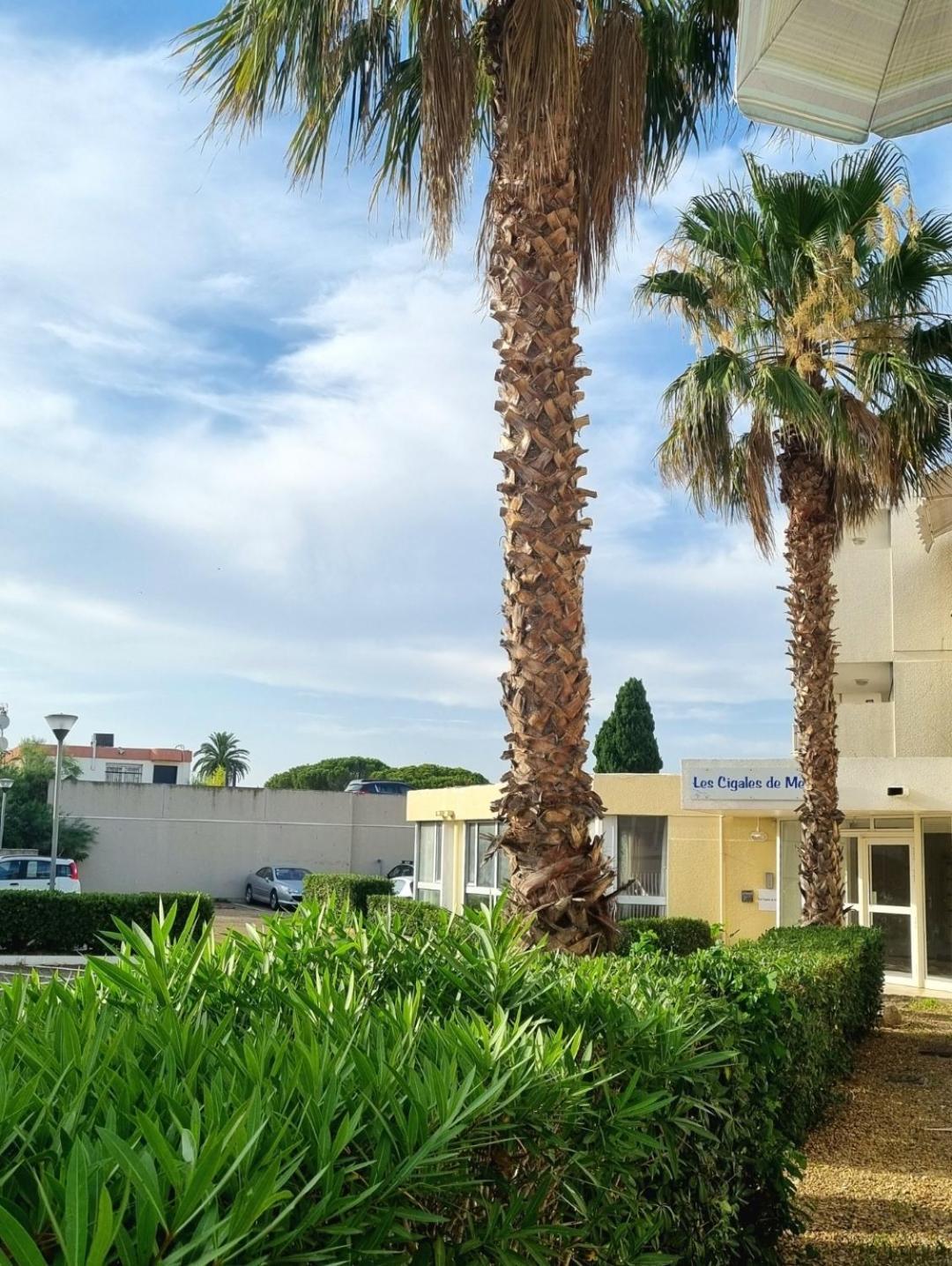 100 M De La Plage - Les Cigales De Mer - Studio Cabine - Parking Le Grau-du-Roi Exterior photo